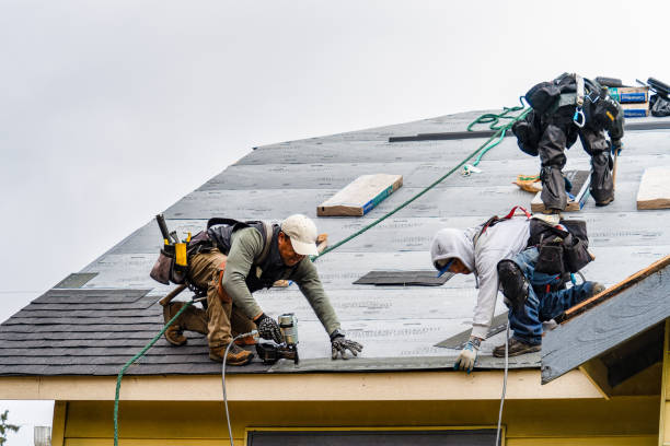 Professional Roofing technician working in Leota, MN